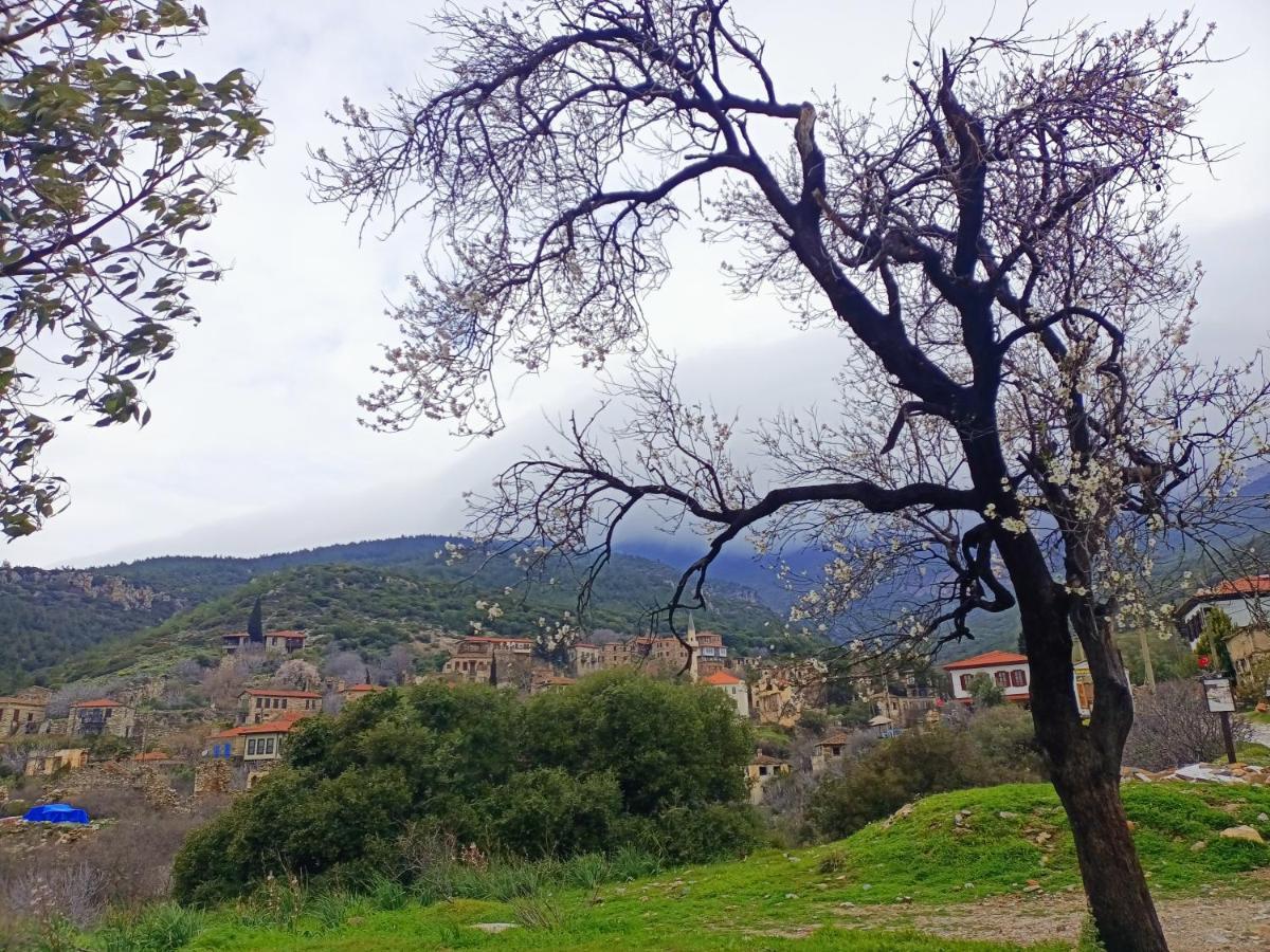 Puli Stone Houses Doğanbey Exteriér fotografie