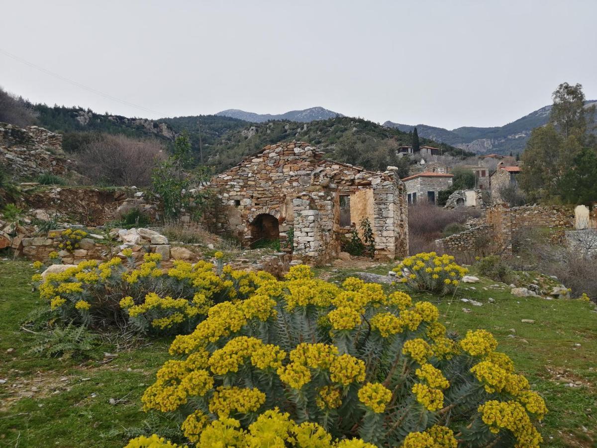 Puli Stone Houses Doğanbey Exteriér fotografie