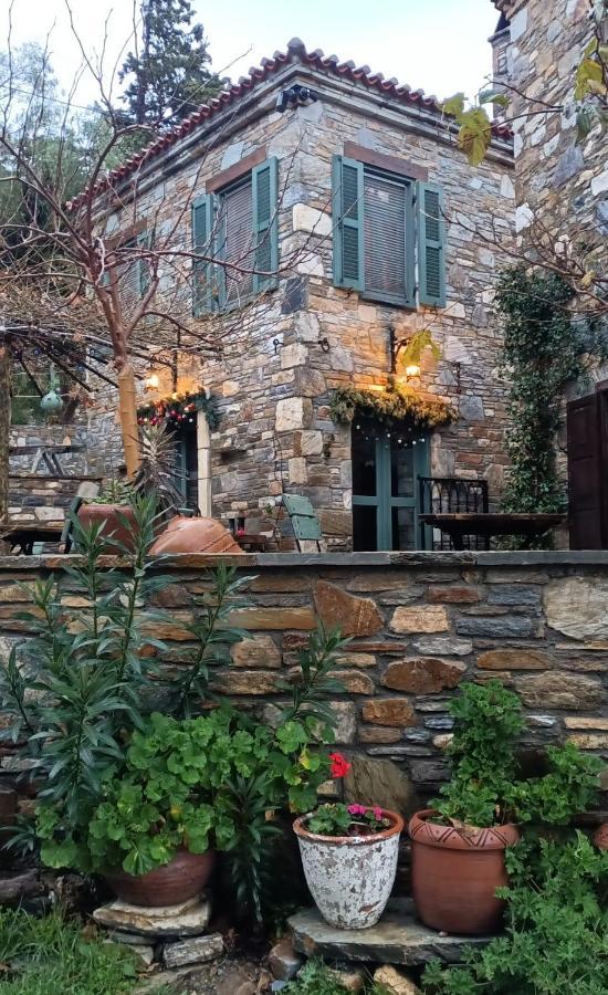 Puli Stone Houses Doğanbey Exteriér fotografie